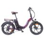 FAFREES F20 Pro Electric Bike für nur 956,35€ (statt 1156,35€)